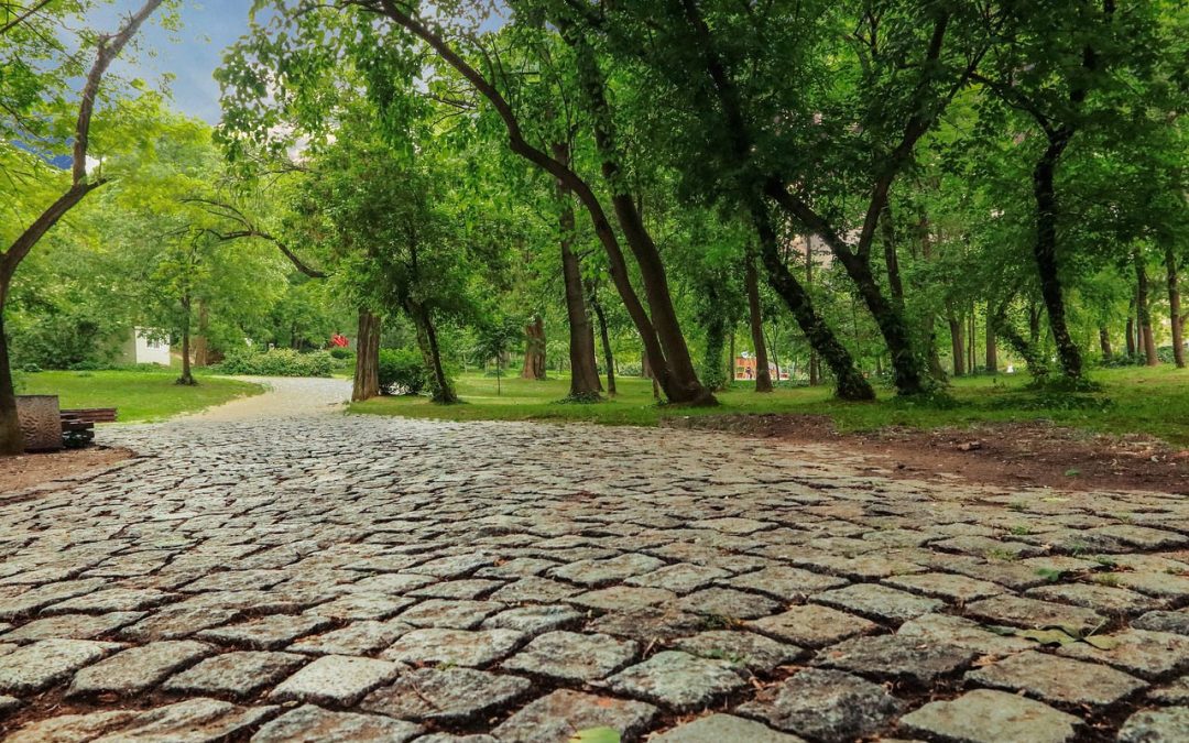 Jak zaplanować estetyczne otoczenie domu? Praktyczne porady i inspiracje