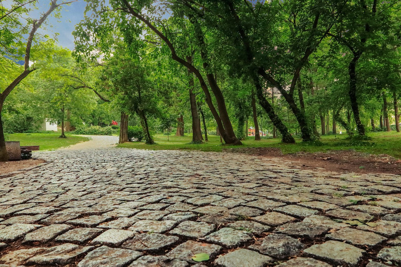 Jak zaplanować estetyczne otoczenie domu? Praktyczne porady i inspiracje